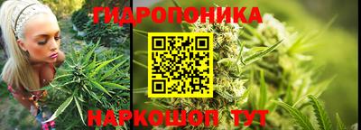 ГАЛЛЮЦИНОГЕННЫЕ ГРИБЫ Аргун