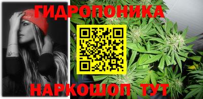ГАЛЛЮЦИНОГЕННЫЕ ГРИБЫ Аргун